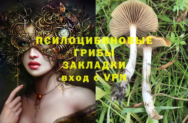 стафф Чекалин