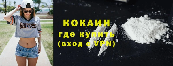 стафф Чекалин
