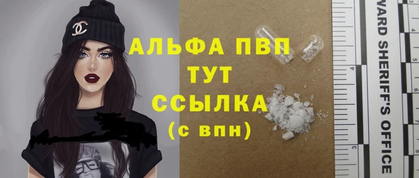 стаф Чердынь