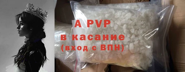 стафф Чекалин