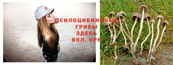 стаф Чердынь