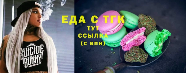 стаф Чердынь