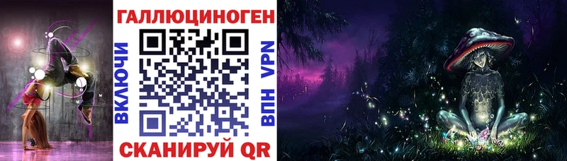 Псилоцибиновые грибы Psilocybine cubensis  Калининец 